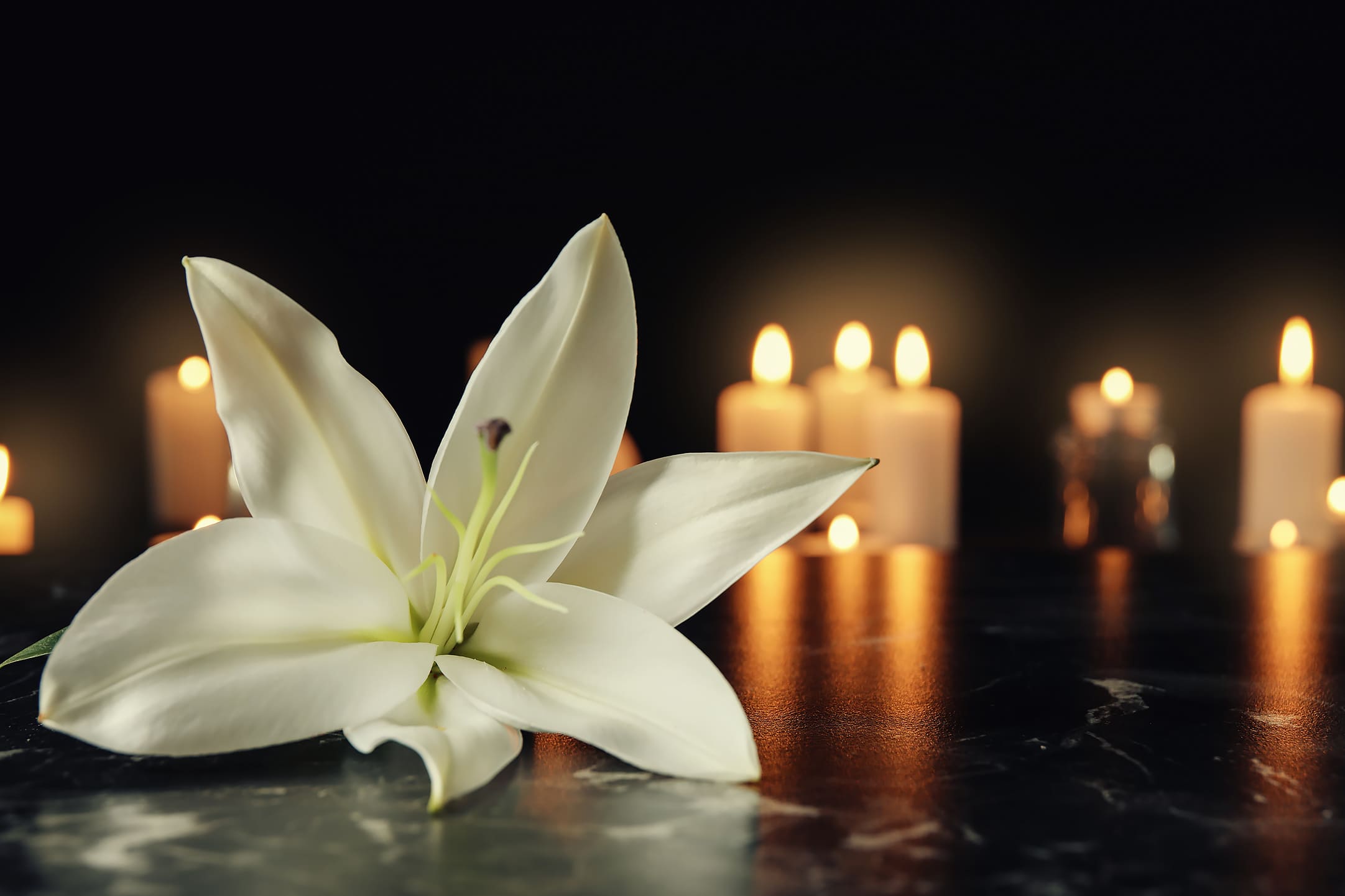vit blomma med tända ljus i sorgens stund